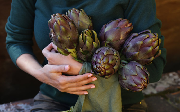 Natural purple vegetables artichokes